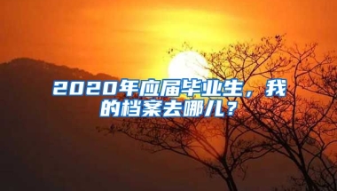 2020年应届毕业生，我的档案去哪儿？