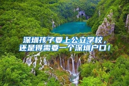 深圳孩子要上公立学校，还是得需要一个深圳户口！