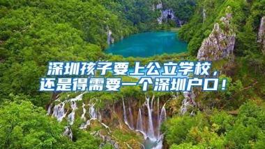 深圳孩子要上公立学校，还是得需要一个深圳户口！