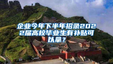 企业今年下半年招录2022届高校毕业生有补贴可以拿？