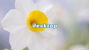 desktop