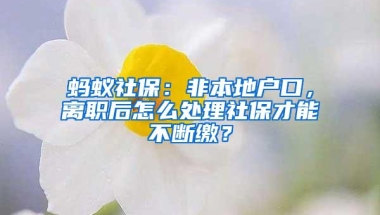 蚂蚁社保：非本地户口，离职后怎么处理社保才能不断缴？