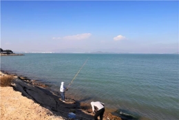 讲透硕士留学生入户深圳，纯干货