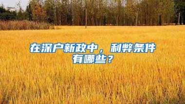 在深户新政中，利弊条件有哪些？