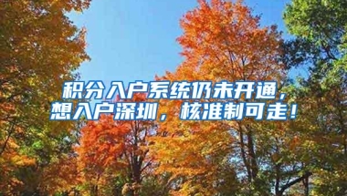 积分入户系统仍未开通，想入户深圳，核准制可走！