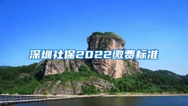 深圳社保2022缴费标准
