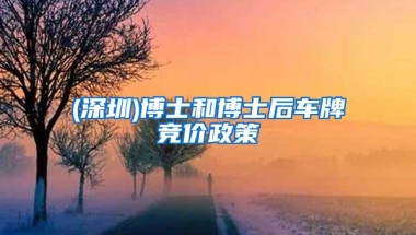 (深圳)博士和博士后车牌竞价政策