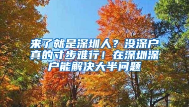 来了就是深圳人？没深户真的寸步难行！在深圳深户能解决大半问题