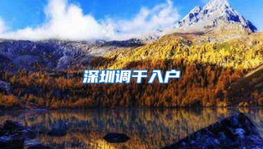 深圳调干入户