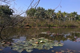 为什么深圳调干落户档案地址很简单，看完你就明白了！