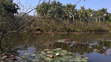 为什么深圳调干落户档案地址很简单，看完你就明白了！