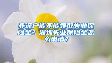 非深户能不能领取失业保险金？深圳失业保险金怎么申请？