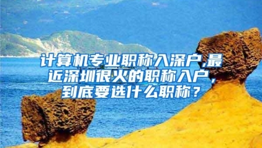 计算机专业职称入深户,最近深圳很火的职称入户，到底要选什么职称？