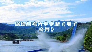 深圳自考大专专业《电子商务》