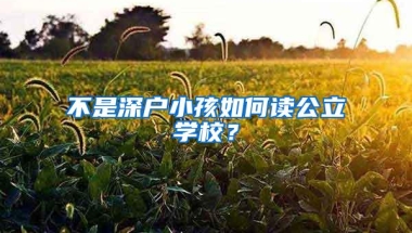 不是深户小孩如何读公立学校？