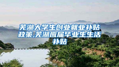 芜湖大学生创业就业补贴政策,芜湖应届毕业生生活补贴