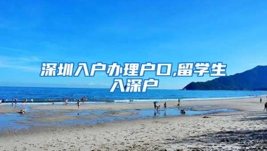 深圳入户办理户口,留学生入深户