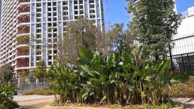 一个“傻瓜的方法”可以使你了解深圳集体户口限购吗