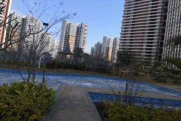 深圳集体户落户方式的一些小技巧