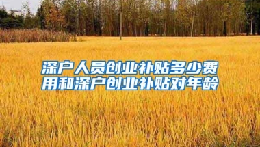 深户人员创业补贴多少费用和深户创业补贴对年龄