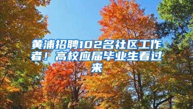 黄浦招聘102名社区工作者！高校应届毕业生看过来