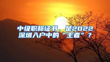 中级职称证书，是2022深圳入户中的“王者”？