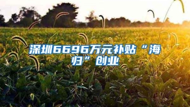 深圳6696万元补贴“海归”创业