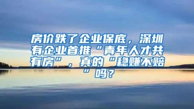 房价跌了企业保底，深圳有企业首推“青年人才共有房”，真的“稳赚不赔”吗？
