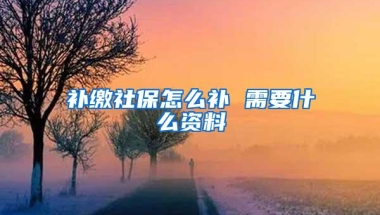 补缴社保怎么补 需要什么资料