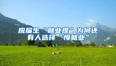 应届生“就业难”为何还有人选择“慢就业”