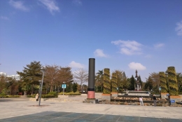 怎么调干入户到深圳透露了什么信息？