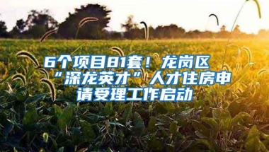 6个项目81套！龙岗区“深龙英才”人才住房申请受理工作启动