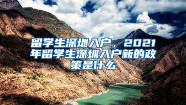 留学生深圳入户，2021年留学生深圳入户新的政策是什么