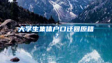 大学生集体户口迁回原籍？