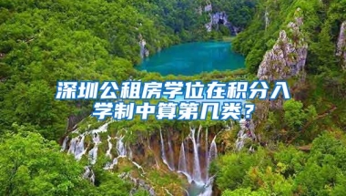 深圳公租房学位在积分入学制中算第几类？
