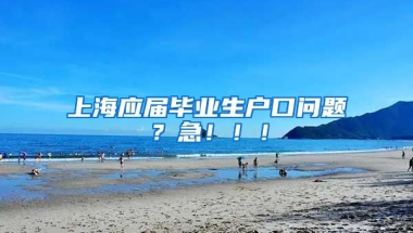 上海应届毕业生户口问题？急！！！