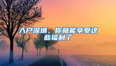 入户深圳，你就能享受这些福利了