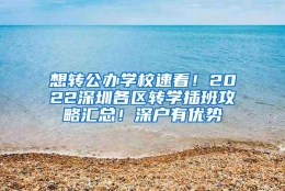 想转公办学校速看！2022深圳各区转学插班攻略汇总！深户有优势
