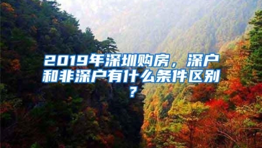 2019年深圳购房，深户和非深户有什么条件区别？