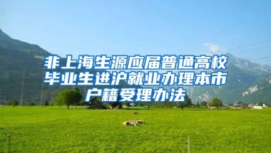 非上海生源应届普通高校毕业生进沪就业办理本市户籍受理办法
