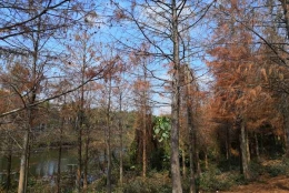 有哪些深圳留学生入户2022应对方法值得收藏