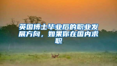 英国博士毕业后的职业发展方向，如果你在国内求职