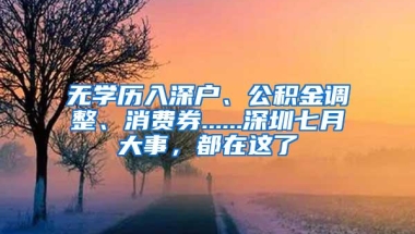 无学历入深户、公积金调整、消费券......深圳七月大事，都在这了
