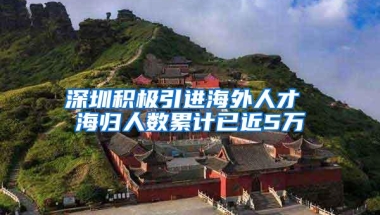 深圳积极引进海外人才 海归人数累计已近5万