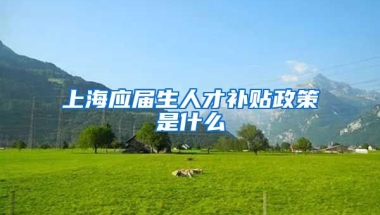上海应届生人才补贴政策是什么