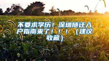 不要求学历！深圳随迁入户指南来了！！！（建议收藏）