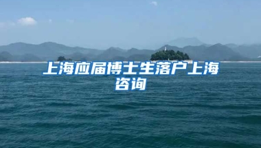 上海应届博士生落户上海咨询