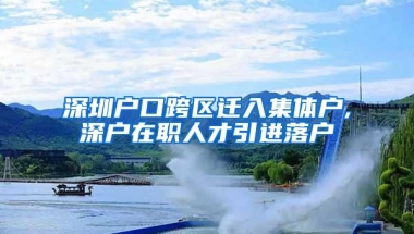 深圳户口跨区迁入集体户,深户在职人才引进落户