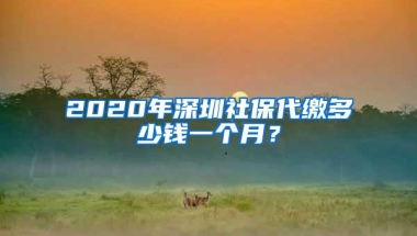 2020年深圳社保代缴多少钱一个月？