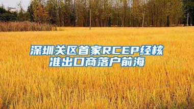 深圳关区首家RCEP经核准出口商落户前海